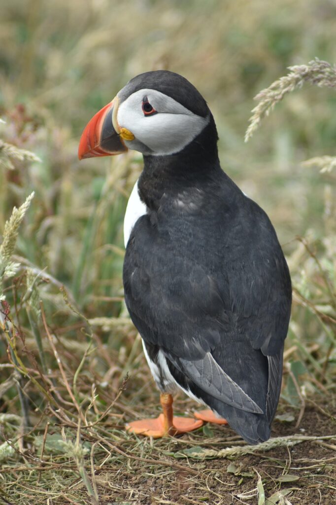 Is it too late to book a private tour Scotland for this summer? Late availability private tour Scotland