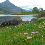 glencoe, scotland, highlands, glen coe, nature, isolation, cloudy, travel, green travel, glencoe, glencoe, glencoe, glencoe, glencoe, scotland, scotland, glen coe
